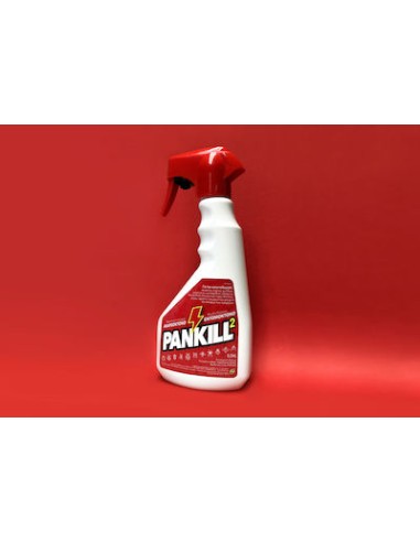 Kwizda Pankill 0.2CS Spray για Κατσαρίδες / Κουνούπια / Μύγες 500ml