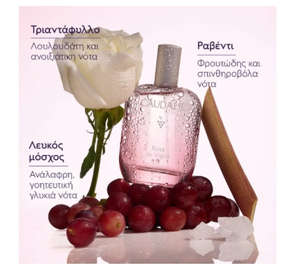 Caudalie Set Rose de Vigne Fresh Fragrance 50ml & Rose de Vigne Shower Gel 200ml